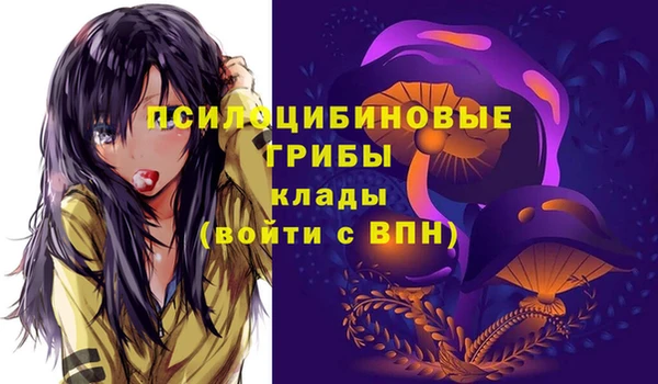 прущий лед Верея